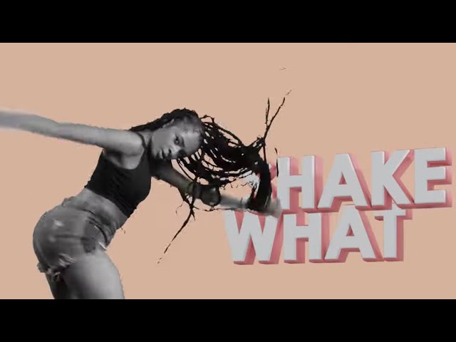 Shake Remix